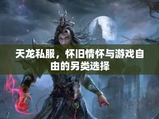 天龙私服，怀旧情怀与游戏自由的另类选择