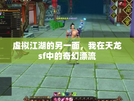 虚拟江湖的另一面，我在天龙sf中的奇幻漂流