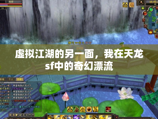 虚拟江湖的另一面，我在天龙sf中的奇幻漂流