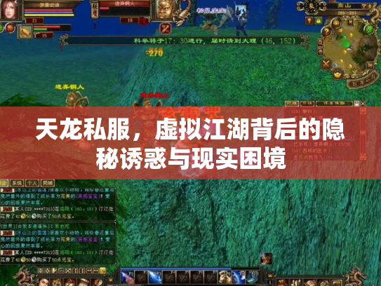 天龙私服，虚拟江湖背后的隐秘诱惑与现实困境