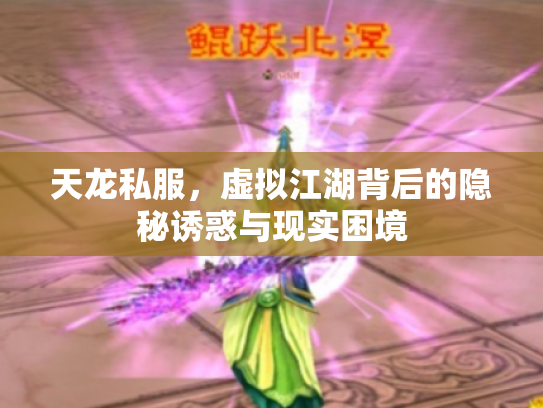 天龙私服，虚拟江湖背后的隐秘诱惑与现实困境