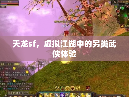 天龙sf，虚拟江湖中的另类武侠体验