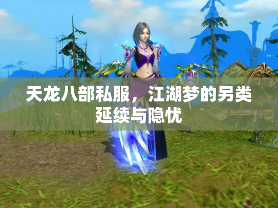 天龙八部私服，江湖梦的另类延续与隐忧