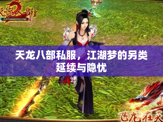 天龙八部私服，江湖梦的另类延续与隐忧