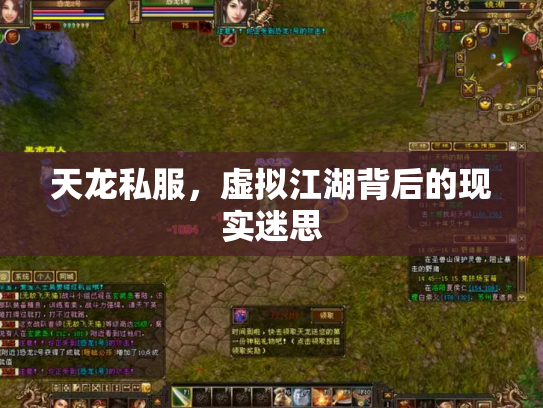天龙私服，虚拟江湖背后的现实迷思
