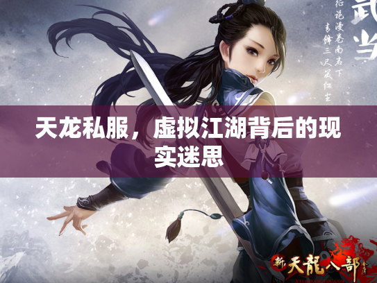 天龙私服，虚拟江湖背后的现实迷思