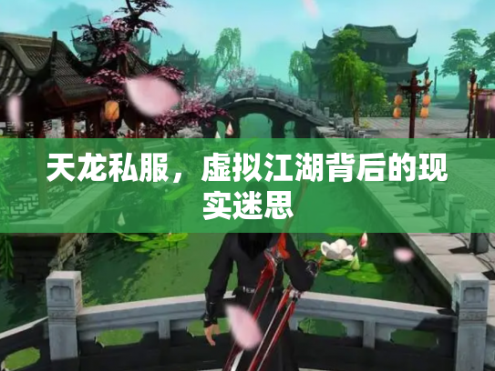 天龙私服，虚拟江湖背后的现实迷思