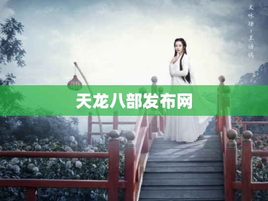 天龙八部发布网
