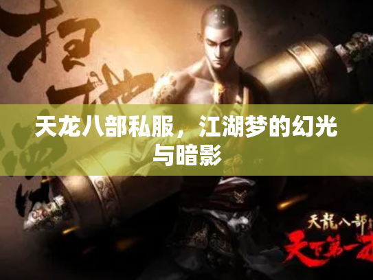 天龙八部私服，江湖梦的幻光与暗影