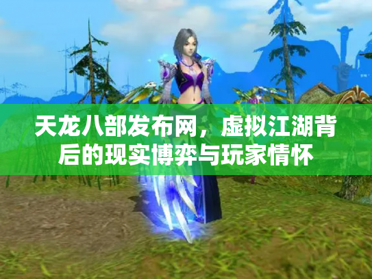 天龙八部发布网，虚拟江湖背后的现实博弈与玩家情怀
