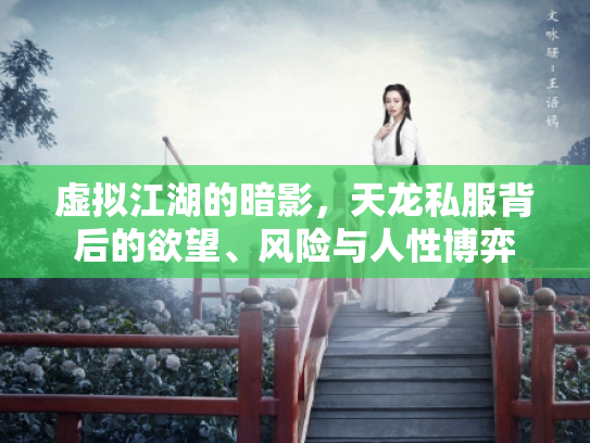 虚拟江湖的暗影，天龙私服背后的欲望、风险与人性博弈