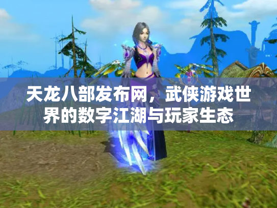 天龙八部发布网，武侠游戏世界的数字江湖与玩家生态
