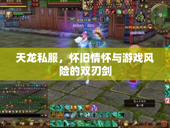 天龙私服，怀旧情怀与游戏风险的双刃剑