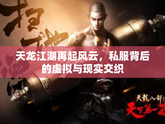 天龙江湖再起风云，私服背后的虚拟与现实交织