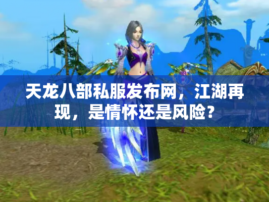 天龙八部私服发布网，江湖再现，是情怀还是风险？