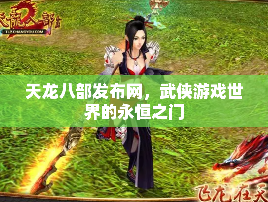 天龙八部发布网，武侠游戏世界的永恒之门
