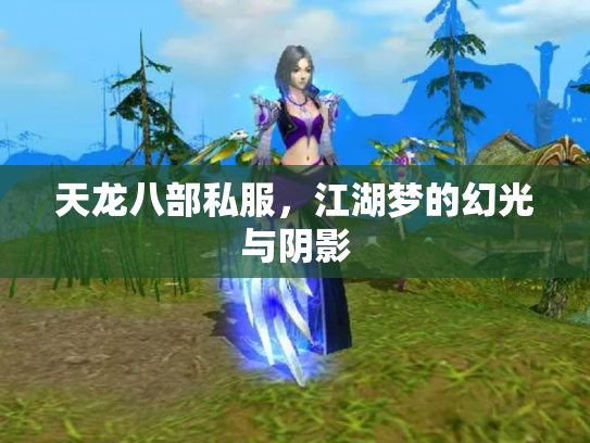 天龙八部私服，江湖梦的幻光与阴影