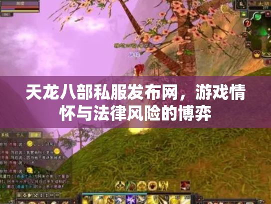 天龙八部私服发布网，游戏情怀与法律风险的博弈
