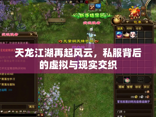 天龙江湖再起风云，私服背后的虚拟与现实交织