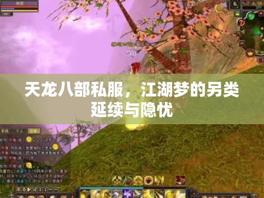 天龙八部私服，江湖梦的另类延续与隐忧