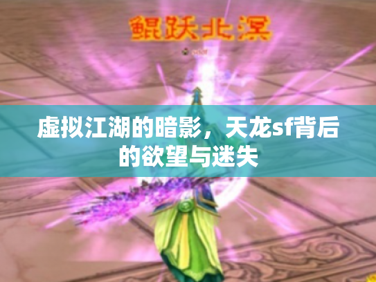 虚拟江湖的暗影，天龙sf背后的欲望与迷失