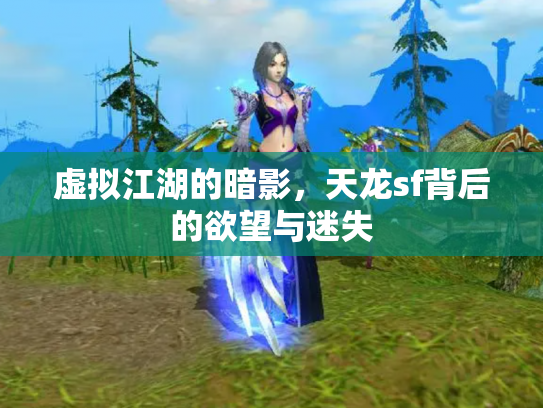 虚拟江湖的暗影，天龙sf背后的欲望与迷失