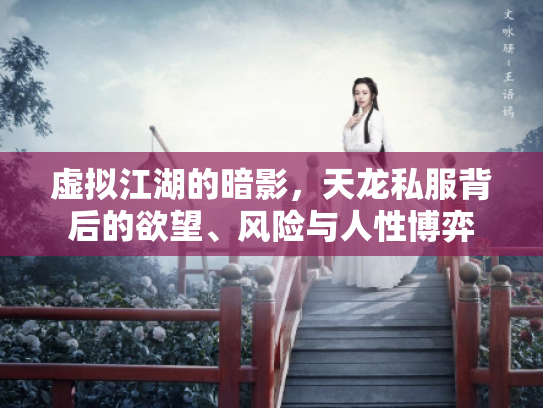 虚拟江湖的暗影，天龙私服背后的欲望、风险与人性博弈