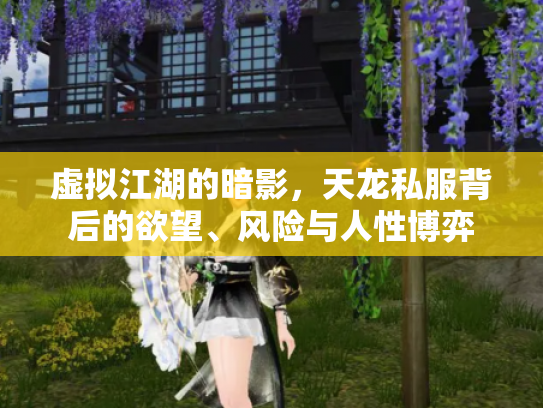 虚拟江湖的暗影，天龙私服背后的欲望、风险与人性博弈