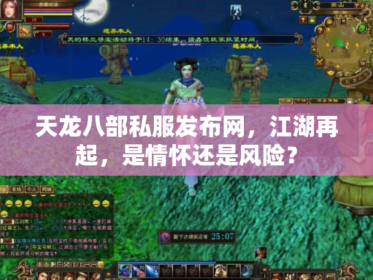 天龙八部私服发布网，江湖再起，是情怀还是风险？