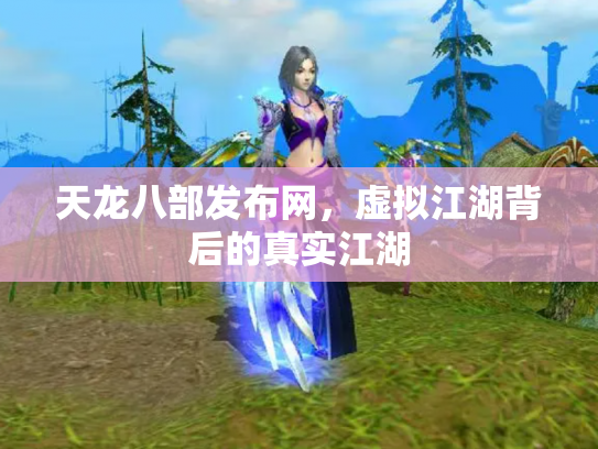 天龙八部发布网，虚拟江湖背后的真实江湖