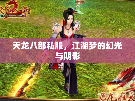 天龙八部私服，江湖梦的幻光与阴影