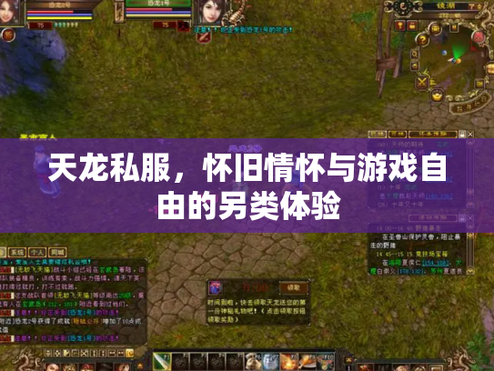 天龙私服，怀旧情怀与游戏自由的另类体验
