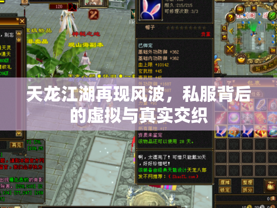 天龙江湖再现风波，私服背后的虚拟与真实交织