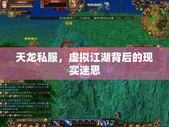 天龙私服，虚拟江湖背后的现实迷思