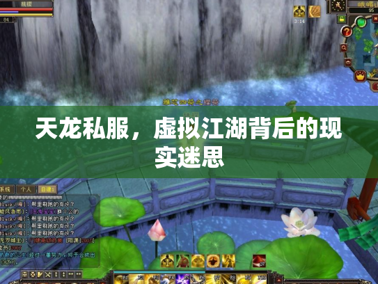 天龙私服，虚拟江湖背后的现实迷思