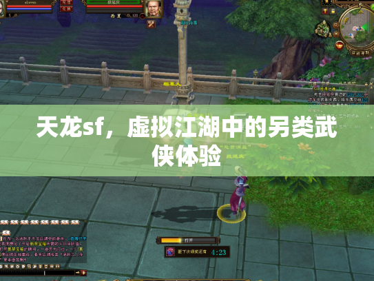 天龙sf，虚拟江湖中的另类武侠体验