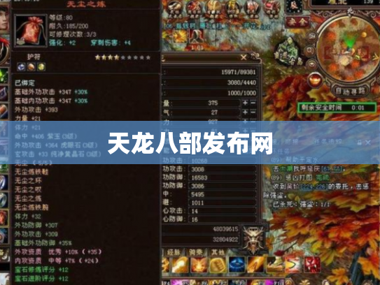 天龙八部发布网