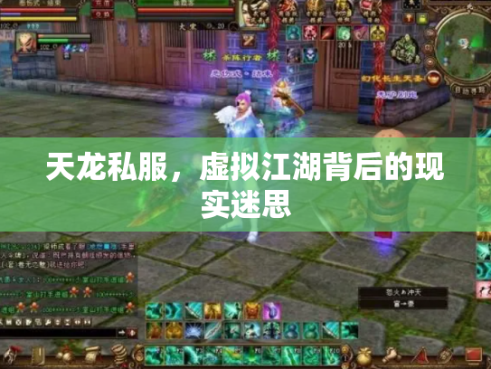 天龙私服，虚拟江湖背后的现实迷思