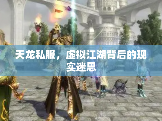 天龙私服，虚拟江湖背后的现实迷思