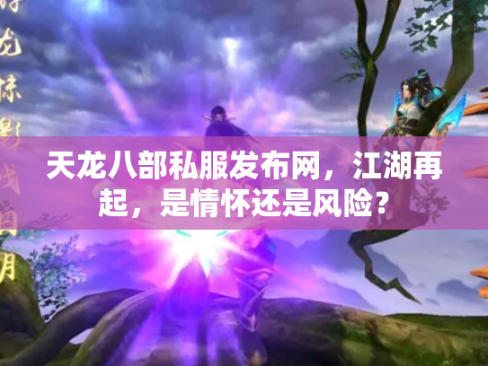天龙八部私服发布网，江湖再起，是情怀还是风险？