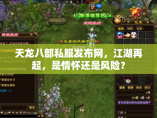 天龙八部私服发布网，江湖再起，是情怀还是风险？