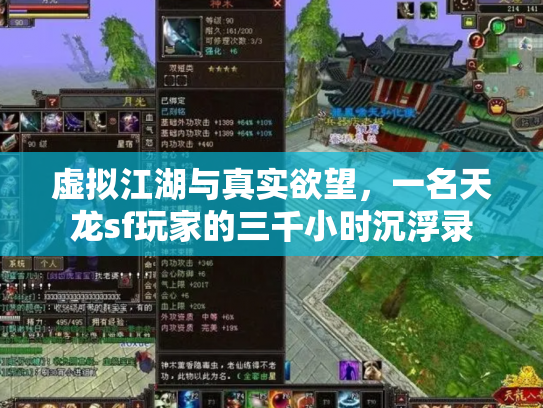 虚拟江湖与真实欲望，一名天龙sf玩家的三千小时沉浮录