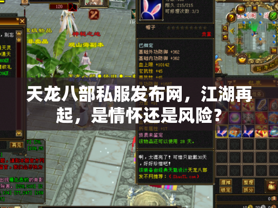 天龙八部私服发布网，江湖再起，是情怀还是风险？