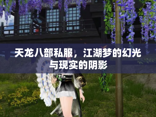 天龙八部私服，江湖梦的幻光与现实的阴影