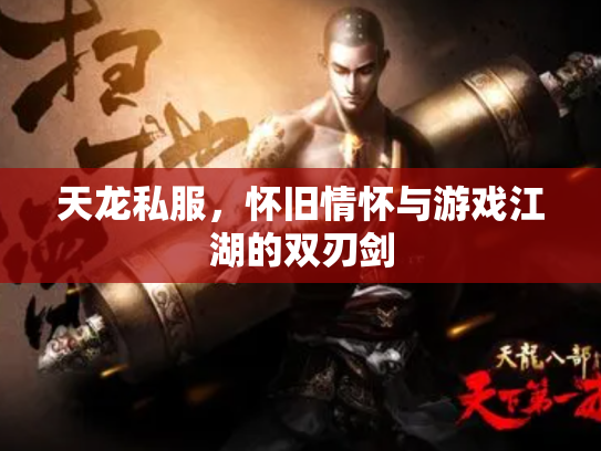 天龙私服，怀旧情怀与游戏江湖的双刃剑