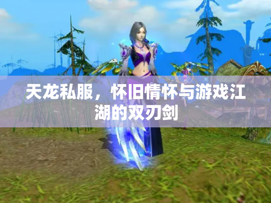 天龙私服，怀旧情怀与游戏江湖的双刃剑
