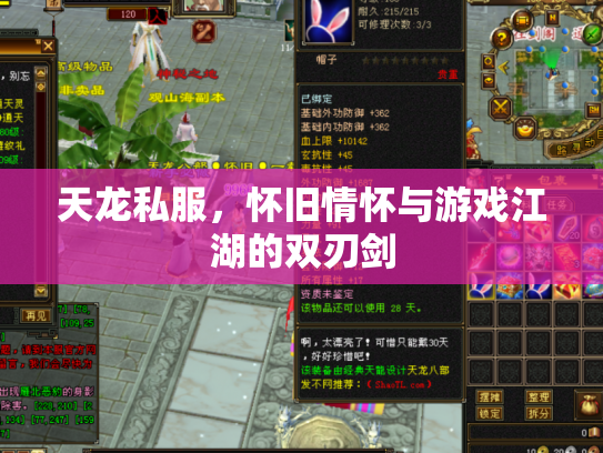 天龙私服，怀旧情怀与游戏江湖的双刃剑