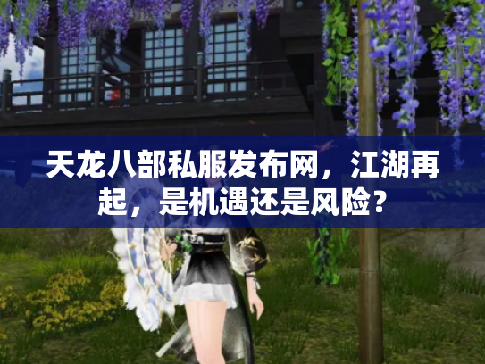 天龙八部私服发布网，江湖再起，是机遇还是风险？