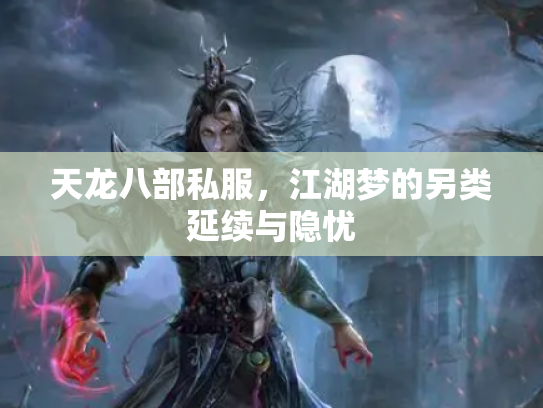 天龙八部私服，江湖梦的另类延续与隐忧