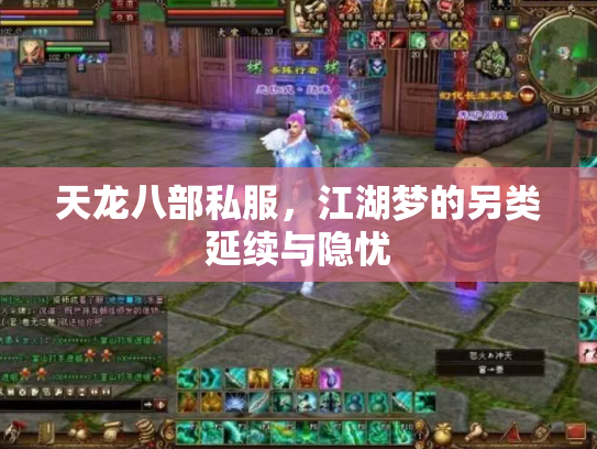 天龙八部私服，江湖梦的另类延续与隐忧